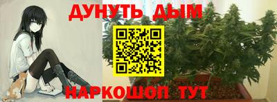 бошки Тверь