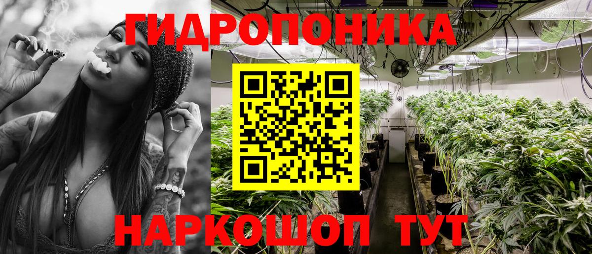 Шишки марихуана Ganja  МАРИХУАНА планчик  Майкоп  Вход с VPN 